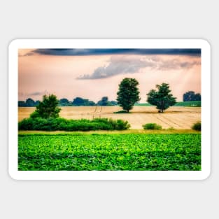 Two Trees In Wheat Field 1 Sticker